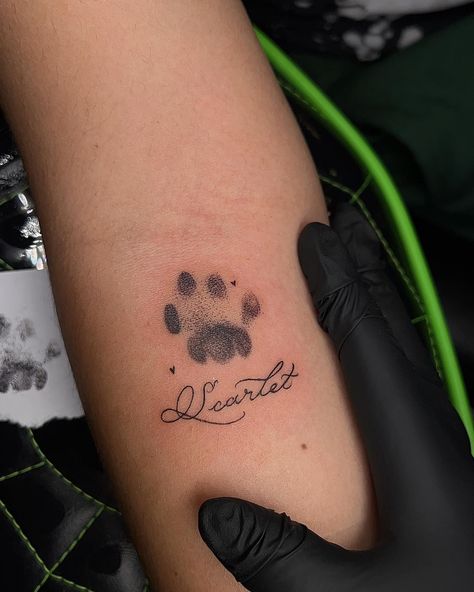 Kitty paw print for my client’s first tattoo 😺 thank you for the trust @n.icomiranda 🌟 . . Artist: @sicknesstattoos Done at @rotorandkoiltattooparlor . TATTOO INQUIRY! 🐈‍⬛ NAME/PRONOUNS 🐈 DESIGN REFERENCES/DESCRIPTION 🐈‍⬛ APPROX. SIZE 🐈 BUDGET (optional) 🐈‍⬛ DAYS AVAILABLE . . . DM to book an appointment! Or text (213)465-0112 . Located in DTLA @rotorandkoiltattooparlor . . . . . . . . #losangelestattoos #DTLA #ArtsDistrict #sicknesstattoos #tattooideas #cattattoo #catmom #firsttatt... Paw Tattoo, Arts District, Name Tattoo, Book An Appointment, First Tattoo, Cat Paws, Cat Tattoo, Design Reference, Cat Mom