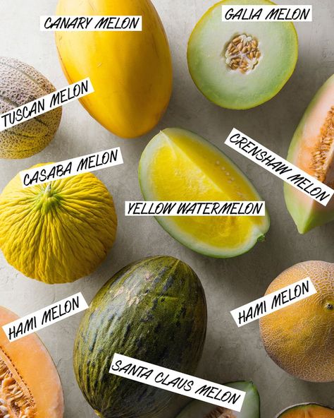 It’s everyone’s favorite time of the year – melon mania! Did you know there is a broad range of melons from all different shapes, sizes and names – A to Z? If not, that’s what this visual guide for all the different melon varieties is here for. #fruit Melon Varieties, Types Of Melons, Santa Claus Melon, Melon Benefits, Sausage Meatballs Recipes, Types Of Watermelon, Watermelon Varieties, Musk Melon, Fruits Name In English