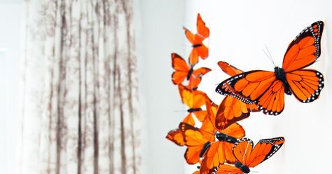 W e hung a garland of Monarch butterflies over Graham's crib and he loves them.    Their glowing orange wings are a-flutter over sweet baby... Wedding Wall Decor, Refrigerator Decor, Feather Butterfly, Home Garden Party, Butterfly Garland, Butterfly Kit, Butterfly Magnet, Butterfly Wall Decals, Wedding Wall Decorations