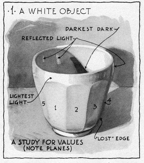 Gurney Journey: Sepia Wash Drawing. This white china cup is an ideal subject because its faceted sides make the stepwise transitions from light to shadow abundantly clear. All these steps can be carefully modulated with the washes, and the process is immensely faster than charcoal. Plus the tones are smoother and purer. But it takes practice to do such an accomplished study, since you have to lay down the tone and leave it: you can't scrub on it or tweak it forever. Wash Drawing, Still Life Drawing, White China, Art Instructions, Watercolour Tutorials, Charcoal Drawing, Drawing Lessons, Drawing Skills, Elements Of Art