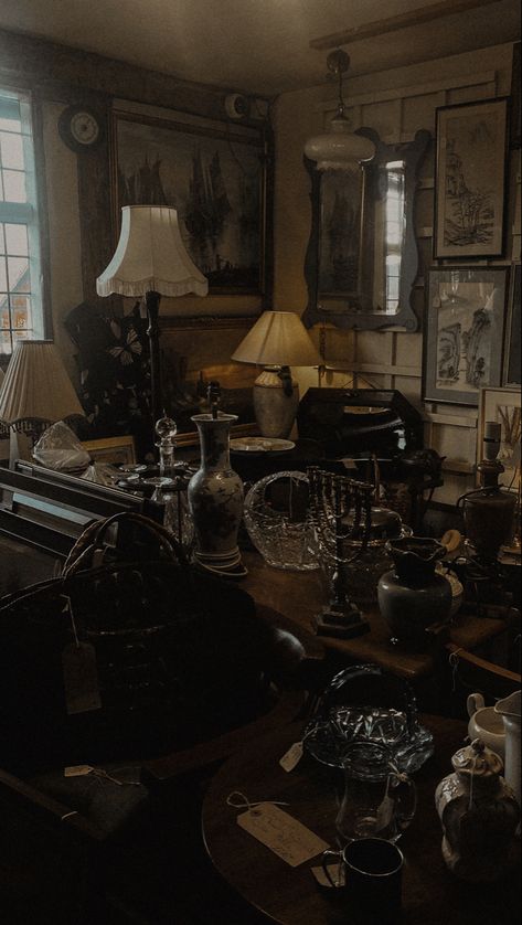 Antique Store Aesthetic Dark, Antique Stores Aesthetic, Antique Shop Aesthetic Dark, Antique Store Aesthetic, Writer's Office, Southern Gothic Aesthetic, 11 Aesthetic, Witch Store, Haunted Objects