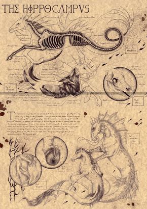 Harry Potter Magical Creatures, Magical Creatures Mythology, Magical Creatures Harry Potter, Persian Mythology, Mystical Creatures Mythology, Fantastic Beasts Creatures, Fantasy Creatures Mythology, Harry Potter Creatures, Mythical Monsters