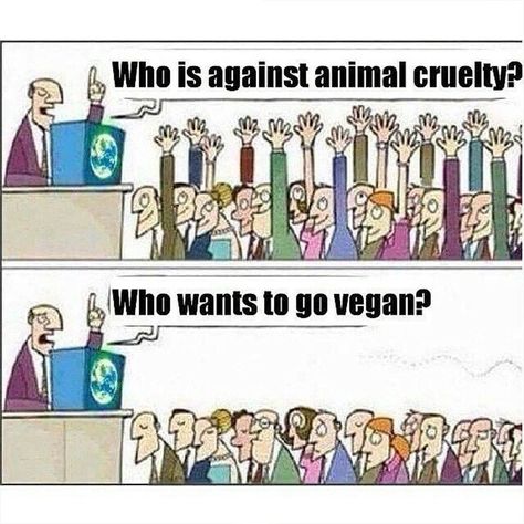 The sad truth, but I think times are changing. Do you agree? 🌱 👉 Sign the Pledge to Be Vegan for Life 📷: @vegan.meme #vegan #vegans #veganshare #meme #veganism Vegan Facts, Vegan Memes, Animal Activism, Vegan Quotes, Why Vegan, Animal Liberation, Vegan Humor, Go Vegan, Vegan Animals