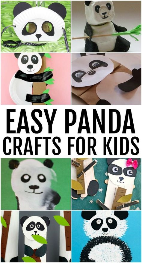 If you're looking for the cutest and easy panda crafts for kids you have come to the right place! There is just something adorable about these cute pandas. Panda Crafts For Kids, Panda Bear Crafts, Panda Activities, Panda Crafts, Panda Facts, Panda Craft, Cute Pandas, Kids Cereal, Craft Cupboard