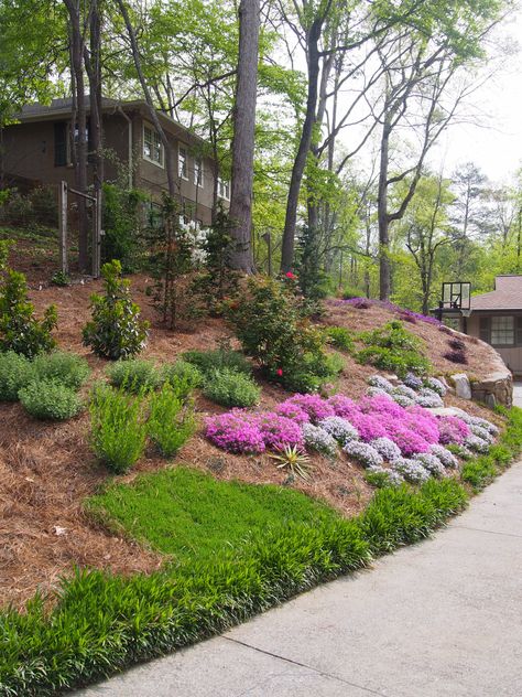 Sunny steep hillside along driveway - Traditional - Landscape - Atlanta - by Home & Garden Design, Atlanta - Danna Cain, ASLA | Houzz Steep Slopes Landscaping, Steep Slope Landscaping, Steep Hill Landscaping, Steep Hillside Landscaping, Steep Gardens, Formal Garden Design, Landscaping A Slope, Terrace Garden Ideas, Landscape Nursery