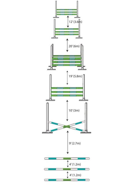 Gymnastic grid! Jumping Grids For Horses, Horse Jumping Exercises Gymnastics, Horse Gymnastic Exercises, Jumping Exercises For Horses, Showjumping Exercises, Equestrian Jumping Exercises, Horse Gymnastics, Jumping Courses, Jump Exercises