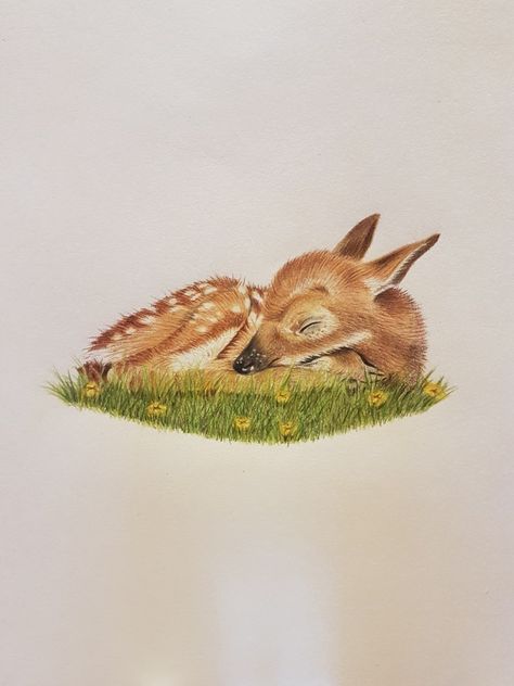 Sleeping Deer Drawing, Fawn Tattoo, Deer Drawing, Green Pastures, Green Pasture, Colored Pencil Drawing, Baby's Room, Animal Friends, Pencil Drawing