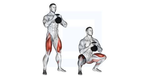 Kettlebell Sumo Squat, Squats Muscles Worked, Benefits Of Squats, Squat Form, Squat Variations, Lower Body Muscles, Bulgarian Split Squats, Kettlebell Workouts, Quad Exercises