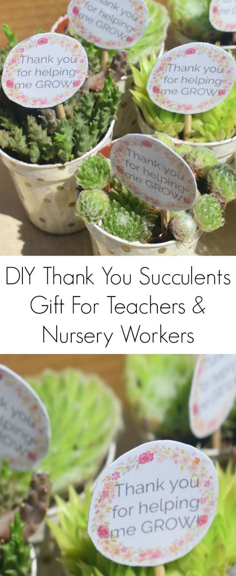 Succulent Plants - Thank You Gift For Teachers & Nursery Workers {DIY} Homemade Teacher Gifts, Diy Gifts To Make, Coffee Gift Basket, Nursery Teacher, Chocolate Gifts Basket, Teachers Diy, Gourmet Gift Baskets, Succulent Gifts, Mason Jar Gifts