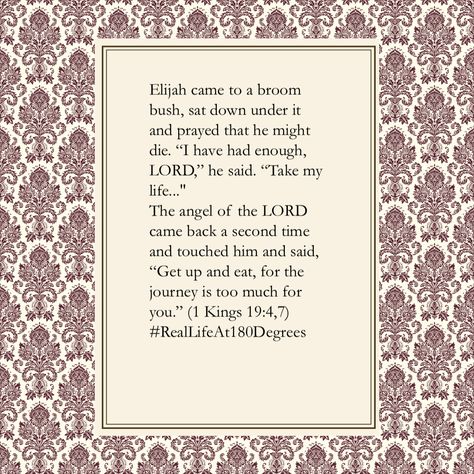 #RealLifeAt180Degrees Alone Elijah wanted to die. We must be filled with the Bread that God provides... the Word Elijah Bible, Adulterous Woman, God Provides, King Solomon, God Will Provide, 2 Peter, Lord And Savior, Proverbs, Jesus Christ