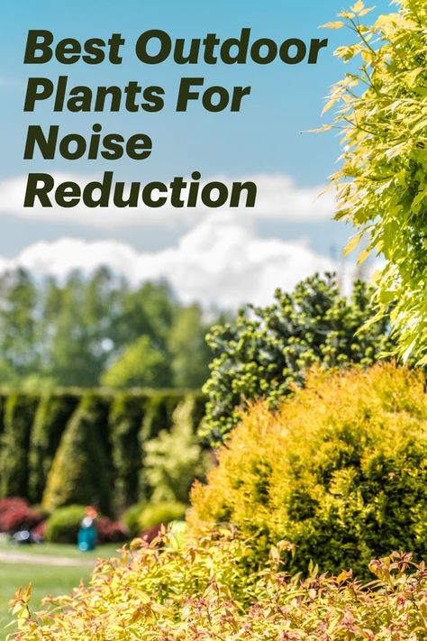 In this article, we’ll look at some of the best plants to use to soundproof your garden. We’ll also talk about how to arrange things to get more sound protection and noise reduction in your yard. Burm Landscaping, Best Outdoor Plants, Privacy Landscaping Front Yard, Creeping Juniper, Sound Barrier Wall, Sound Baffles, Privacy Landscaping Backyard, Noise Barrier, Sound Blocking