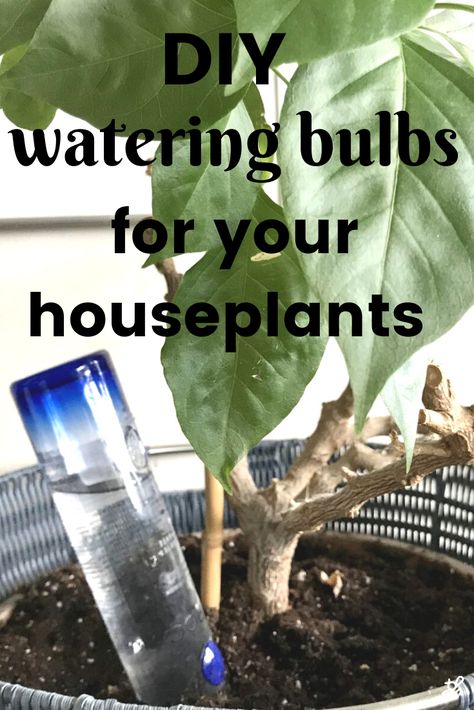 Watering House Plants While On Vacation, Painting Containers, Bulb Diy, Watering Bulbs, Self Watering Pots, House Plant Care, Low Maintenance Plants, Budget Diy, Diy Plants