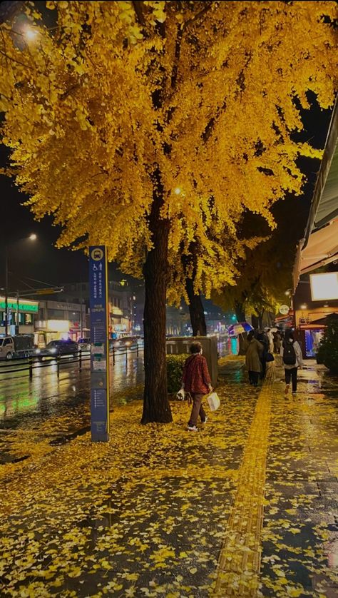 City Street Aesthetic Night, Autumn In Seoul, Autumn In Korea, South Korea Photography, Seoul Korea Travel, Korea Aesthetic, Bukchon Hanok Village, Wallpaper Autumn, South Korea Seoul