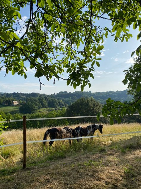 Horse. Stables. Barn. Farm. Aesthetic. Picture inspi. Ig story. Instagram. Summer. Spain Aesthetics, Fun Activites, Farm Aesthetic, Big Farm, Farm Lifestyle, Cottage Life, Inspo Pics, Aesthetic Picture, Horse Stables