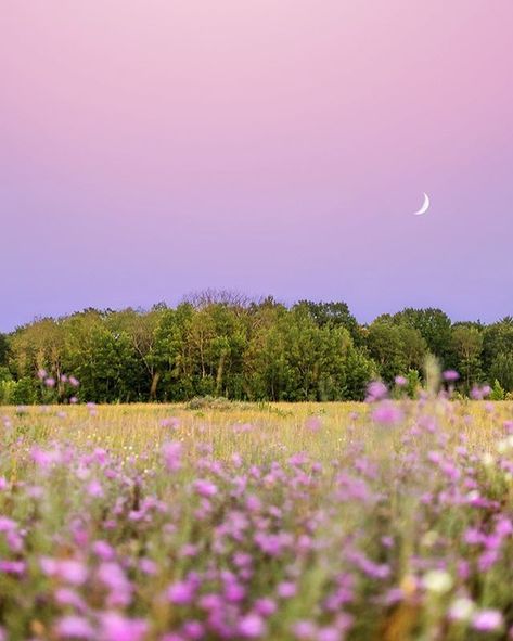 Purple Flowers Aesthetic, Purple Board, Glitter Ideas, Fantasy Settings, Purple Skies, Dusk Sky, Aesthetic Moon, Pink Skies, Nature Vibes