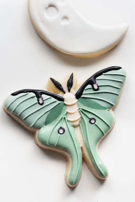 Moth Cookies, Animal Food, Desserts To Make, Fort Collins, Food Ideas, Food Animals, Moth, Enchanted, Sugar Cookie