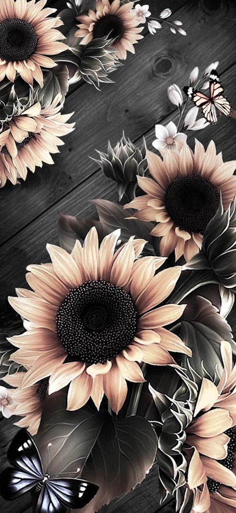 Pin by Melu Vazquez on Flowers Wallpaper in 2022 | Sunflower iphone wallpaper, Beautiful wallpapers for iphone, Vintage flowers wallpaper Wallpaper Iphone, Butterflies, Iphone Wallpaper, Sunflower, I Hope, Wallpapers, Iphone