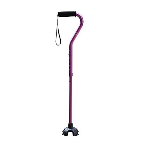 Cane Mobility Aid, Fashionable Canes, Wheelchairs Design, Walking Aids, Stair Lift, Barbie Stuff, Mobility Aids, Crutches, Creative Workshop