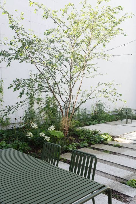 Courtyard Plants, Planting Schemes, Courtyard Landscaping, Small Courtyard Gardens, Courtyard Gardens Design, Minimalist Garden, Have Inspiration, Outdoor Gardens Design, Garden Tours