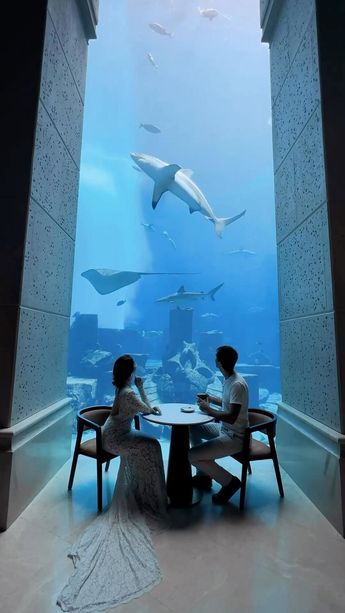 Coffee with the sharks 🦈 📍 @atlantisthepalm Creds @thenexttrip #travel #vacation #dinner #hotels #resort #luxuryresort #sealife #aquatic #dubai Vacation Dinner, Underwater Restaurant, Dhokla Recipe, Millionaire Lifestyle, Sealife, Luxury Resort, Travel Couple, Travel Vacation, Atlantis