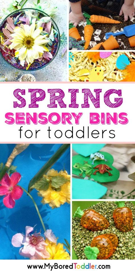 Spring Sensory Bins for Toddlers pinterest Sensory Bins For Toddlers, Spring Activities For Kids, Spring Sensory, Ladybug Crafts, Toddler Sensory, Spring Fun, Toddler Snacks, Butterfly Crafts, Sensory Bin