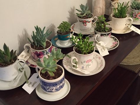 Gardening Party Favors, Plant In Teacup, Succulent In Teacup, Succulent Tea Cup, Plants In Teacups, Tea Cup Succulent, Indoor Garden Tea Party, Succulents In Teacups, Tea Party Favors For Women Ladies Luncheon