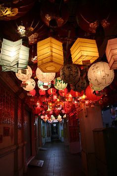 Boards Party, Chinese Party, Chinese Lantern, Red Lantern, Chinese Lanterns, Mid Autumn Festival, The Ceiling, New Years Decorations, Chinese Restaurant