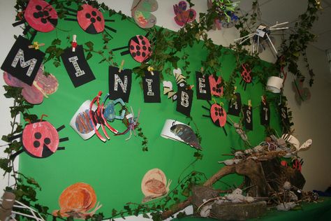 Minibeast Classroom Display, Minibeasts Display, Minibeast Display, Garden Classroom Theme, Nursery Display Boards, Minibeasts Eyfs, Reggio Emilia Kindergarten, Preschool Displays, Ks1 Classroom