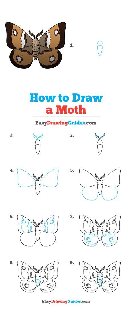 Moth Drawing Lesson. Free Online Drawing Tutorial for Kids. Get the Free Printable Step by Step Drawing Instructions on https://easydrawingguides.com/how-to-draw-a-moth/ . #Moth #LearnToDraw #ArtProject Easy Bug Drawing, Draw Bugs, How To Draw Insects, Spooky Drawings, Moth Pattern, Bugs Drawing, Moth Drawing, Cute Moth, Realistic Cartoons