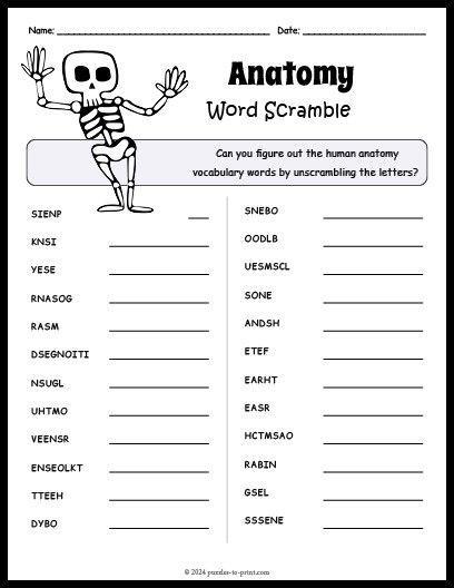 Free Printable Anatomy Word Scramble Word Scramble Games For Adults, Magic Squares Math, Rebus Puzzles, Scramble Words, Printable Mazes, Quiz Questions And Answers, Bored Board, Printable Puzzles, Numbers For Kids