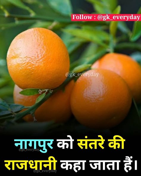 Facts About Fruits, General Quiz, Fact In Hindi, Science Facts Mind Blown, General Knowledge For Kids, Interesting Facts In Hindi, Interesting Science Facts, Indian History Facts, Gk Questions And Answers