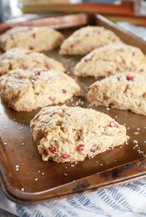 Rhubarb Biscuits, Rhubarb Scones Recipe, Rhubarb Muffins Recipe, Rhubarb Baking Recipes, Rhubarb Breakfast Recipes Healthy, Easy Rhubarb Scones, Savory Rhubarb Recipes, Rhubarb Scones Buttermilk, Frozen Rhubarb Recipes