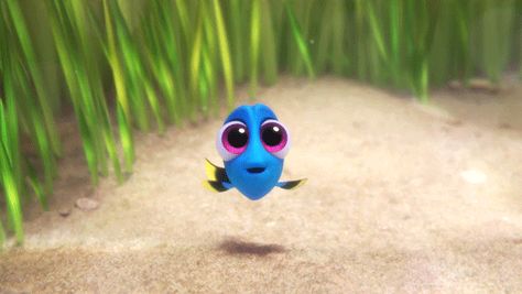 via GIPHY Finding Dory Quotes, Finding Dory Baby, Baby Dory, Dory Finding Nemo, Disney Gifs, Animals Cartoon, Disneyland Halloween, Film Anime, Finding Dory