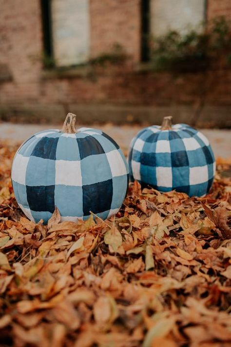 These charming plaid gourds will look great in a home down South.  #holiday #halloween #inspiration #diy #homeinspo #wishlist Blue And White Pumpkins, Creative Pumpkin Painting, Katie Kime, No Carve Pumpkin Decorating, Pumpkin Uses, Halloween Pumpkins Painted, Creative Pumpkins, Harvest Decorations, Halloween Snacks