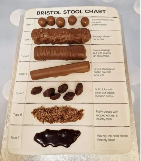 Bristol Stool Chart Cake, Bristol Stool, Stool Chart, Bristol Stool Chart, Eat Me, Lil Sis, Edible Gifts, Cool Birthday Cakes, Bristol