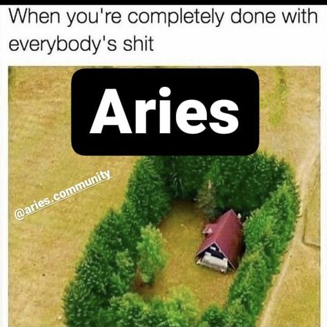 Aries Memes Funny Hilarious, Aries Mood, Aries Things, Aries Funny, Aries Aesthetic, Aries Baby, Aries And Scorpio, Aries Season, Aries Zodiac Facts