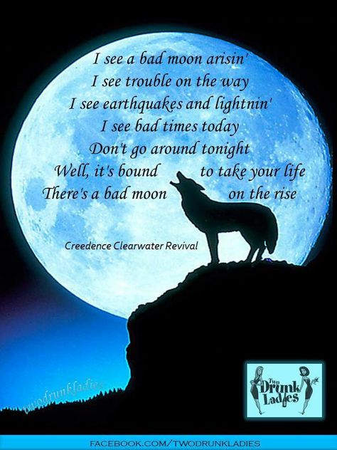 Bad Moon Rising/CCR Bad Moon Rising, Music Lyrics Art, More Lyrics, Funny Marriage Jokes, Marriage Jokes, Creedence Clearwater Revival, Lyrics To Live By, Great Song Lyrics, Music Quotes Lyrics