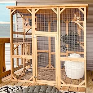 Catio For Cats, Catio Enclosure, Cat Hideout, Cat House Indoor, Cat Area, Wooden Cat House, Multiple Cats, Cat Friends, Chicken Coup