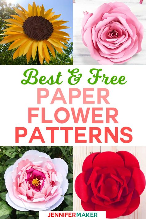 Diy Paper Flowers, Paper Flower Patterns, Fleurs Diy, Easy Paper Flowers, Large Paper Flowers, Paper Flower Template, Crepe Paper Flowers, Paper Flower Backdrop, Paper Flowers Craft