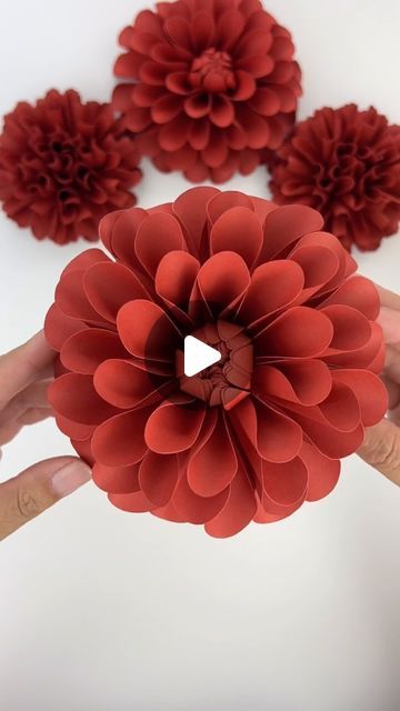 Hey, I’m Judy 👋🏻 Paper Flower Art + Tutorials on Instagram: "Happy Monday 🌺 Hope you’re having a great start to your week! Here’s a look at some red paper flower dahlias 💕  My Mini Dahlia 2 template can be found in my Etsy shop, link in bio!  #paperflowers #diypaperflowers #cricut #teamcricut #cricutmade #cricutcreations #makeitwithmichaels #etsyfinds #handmadewithlove #weddingflowers #paperrose  #paperart #makersgonnamake #diy #handmade #paperdahlia #dahlia #bouquet #weddingbouquet #paperflorals #weddinginsp #paperart #paperartist #weddingdecor #craftinspo #imadethis #igdaily #explorepage #foryou #weddinginspiration" Diy Fall Flowers, Dalia Flower, Event Wall, 2 Template, Paper Dahlia, Dahlia Bouquet, Paper Flower Art, Flower Paper, Black Dahlia