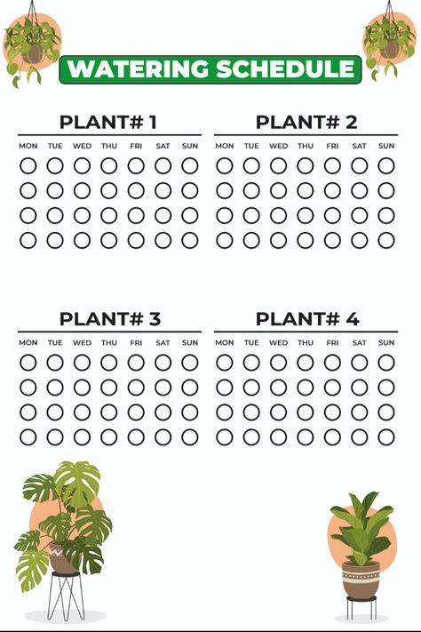 Plant Watering Schedule, Plant Watering, My Plant, Plant Tags, Best Indoor Plants, Sun Plants, Planting, Indoor Plants, Succulent