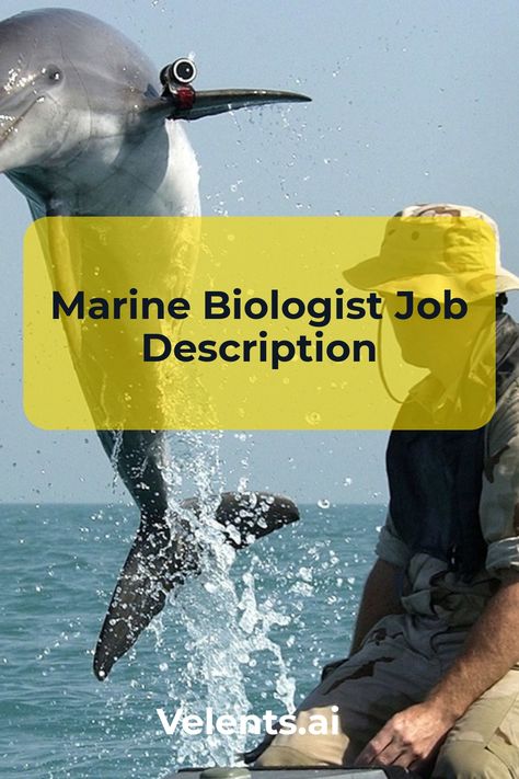 Marine Biologist Job Description template includes a detailed overview of the key requirements, duties, responsibilities, and skills for this role. It's optimized for posting on online job boards or careers pages and easy to customize this template for your company. Biology Resources, Job Description Template, Study Related, Marine Ecosystem, Marine Biologist, Hiring Process, Online Job, Scientific Method, Science Biology