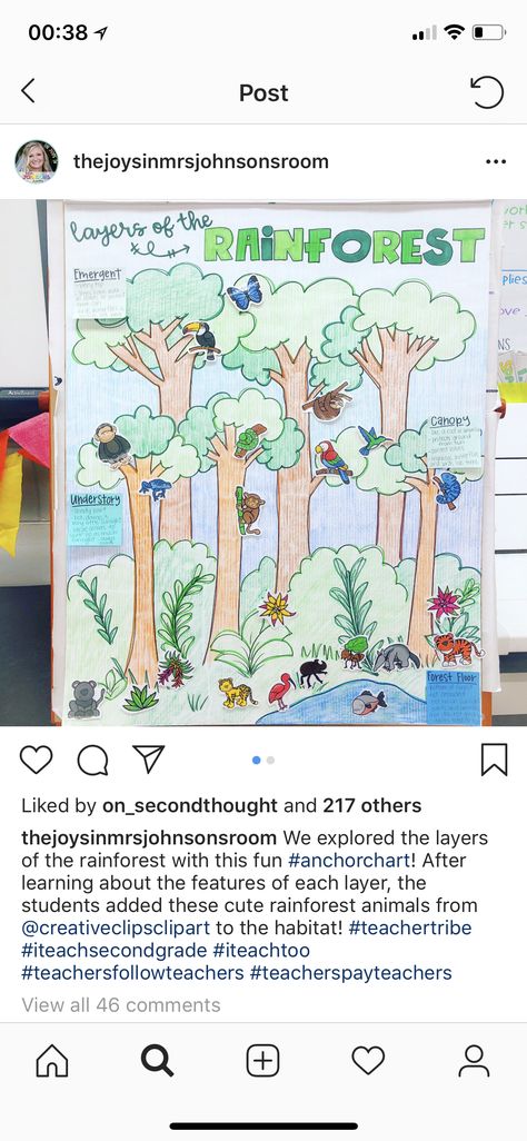 Habitat Anchor Chart, Preschool Summer Camp, Forest Habitat, Rainforest Animals, Summer Preschool, Forest Floor, Animal Habitats, Teaching Science, Forest Animals