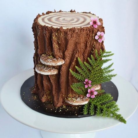 Tree Stump Cake With Mushrooms, Tree Stump Cake With Flowers, Tree Stump Birthday Cake, Tree Stump Cake Ideas, Nature Themed Cake, Woodland Creature Cake, Earthy Cake, Tree Bark Cake, Bugs Cake