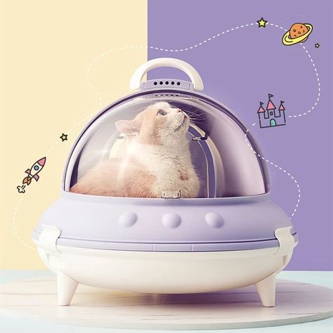 Happy & Polly on Instagram: “Can the litter box take me to space? 🐱🐱🐱 #happyandpolly #catlitterbox . . . . . . . . . . #catstyle #catsofinstagram #catsinsta…” Litter Box Smell, Cozy Beds, Best Cat Litter, Munchkin Cat, Cat Beds, Cat Items, Old Cats, Cat Owner, Cat Room