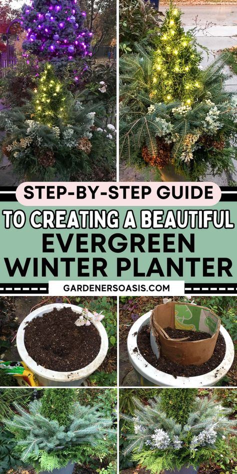 Step-by-step Guide To Creating A Beautiful Evergreen Winter Planter | Gardening Winter Pots Outdoor Planters, Container Gardening Design, Pretty Porches, Diy Christmas Home Decor, Gardening Tomatoes, Perennials Flowers, Winter Planters, Diy Container, Garden Front Yard