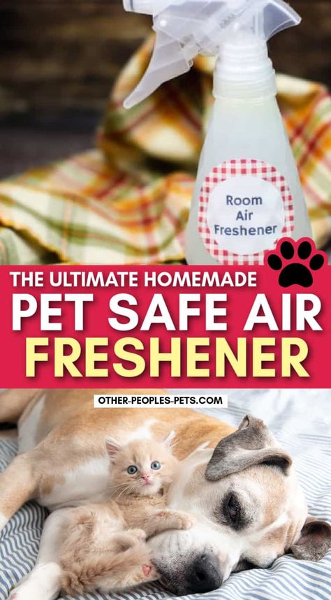 Looking for a pet-safe air freshener? Learn how to make pet-friendly air fresheners using essential oils to help with unwanted odors. Safe Air Freshener, Natural Air Freshener Diy, Dog Deodorizer Spray, Natural Room Deodorizer, Diy Air Freshener Spray, Homemade Room Spray, Homemade Febreze, Air Freshener Recipes, Pet Odor Remover