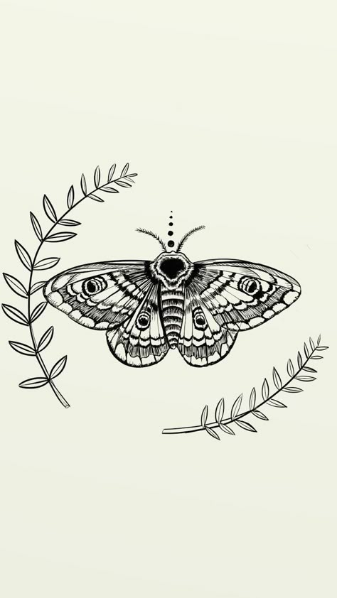 Moth Tattoo Template, Moth And Sun Tattoo, Moth And Vine Tattoo, Moth Tattoo Design Thigh, Illustrative Moth Tattoo, Cool Moth Tattoo Designs, Moth With Eyes On Wings Tattoo, Basic Moth Tattoo, Moth Vs Butterfly Tattoo