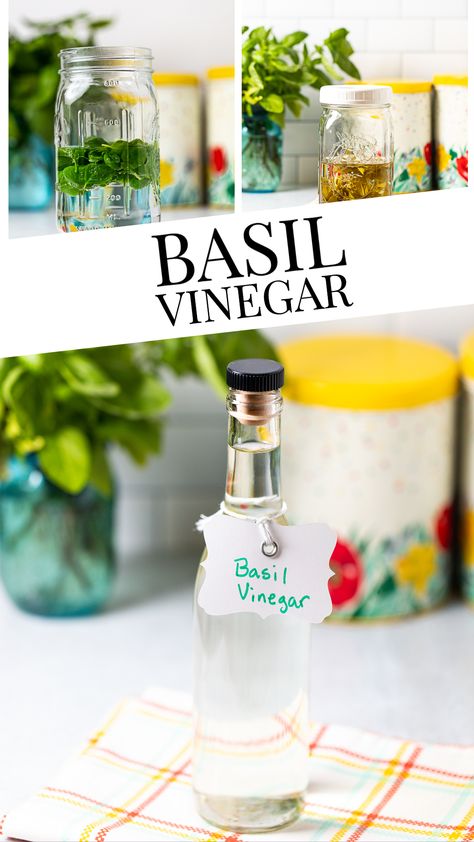 Easy Homemade Basil Vinegar - time does most of the work in this delicious herb infused vinegar!  All you need is basil and vinegar and you can have the fresh summer flavor of basil all year long!  In the middle of winter, drizzle some on cherry tomatoes and it's like a little breath of summer! Basil Vinegar, Fresh Basil Recipes, Detox Drinks Flat Tummy, Herbal Vinegar, Flavored Vinegars, Infused Vinegars, Summer In A Bottle, Food Tool, Basil Recipes