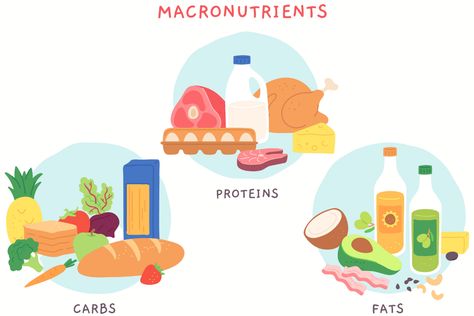 Did you know that protein and carbs both have 4 calories per gram, while fats have a whopping 9 calories per gram? So does that mean we should avoid fat at all costs? Nope! Fats have essential functions in the body, just like proteins and carbs do. Learn more about the 3 macronutrients by reading our latest blog. Link below: https://www.mddietclinic.com/what-are-the-3-macronutrients/ Dietetics Aesthetic, Cells And Tissues, Science Vocabulary, Fitness Pal, Unsaturated Fats, Food Pyramid, Nutrition And Dietetics, Protein Diets, Low Glycemic